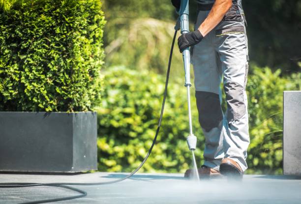 Best Patio and Deck Pressure Washing  in St Charles, MN