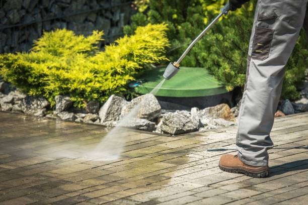 Best Boat and Dock Cleaning  in St Charles, MN