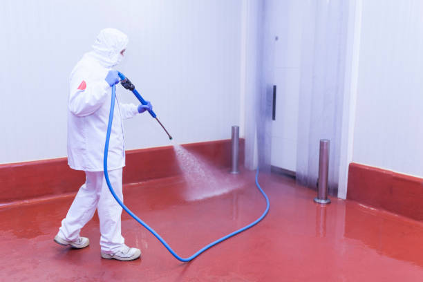 Best House Exterior Washing  in St Charles, MN