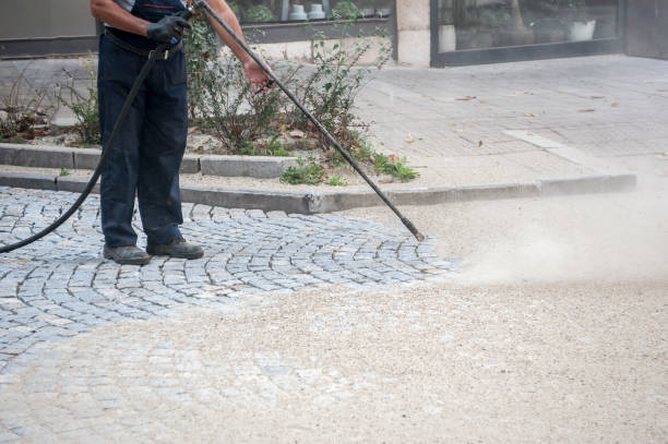 Best Animal Enclosure Cleaning  in St Charles, MN