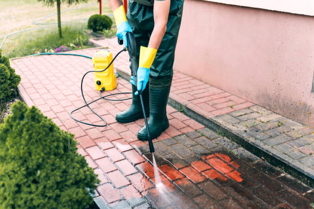 Best Parking Lot and Garage Cleaning  in St Charles, MN