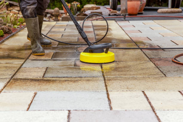 Best Fence Cleaning  in St Charles, MN