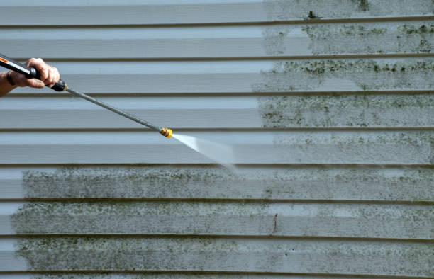 Best Building Exterior Washing  in St Charles, MN