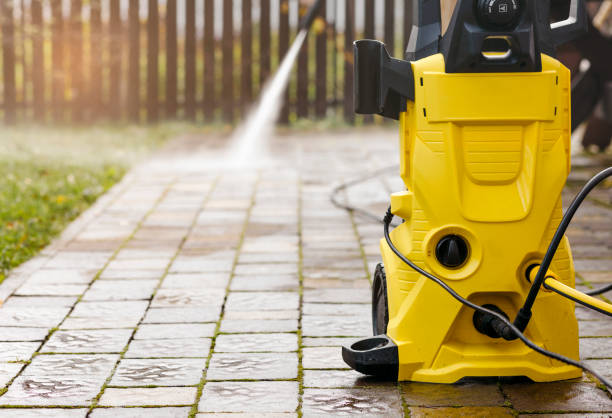 Best Roof Washing  in St Charles, MN